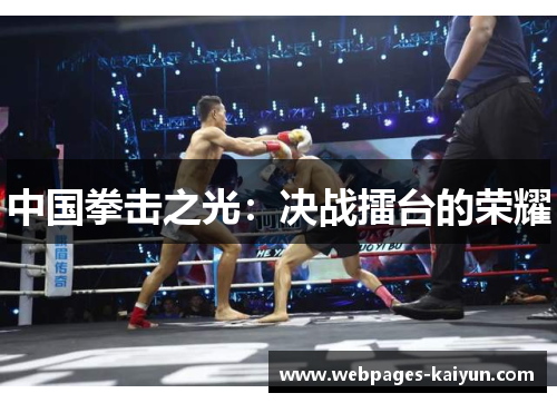 中国拳击之光：决战擂台的荣耀