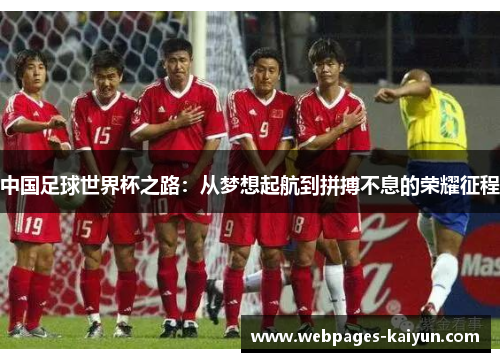 中国足球世界杯之路：从梦想起航到拼搏不息的荣耀征程