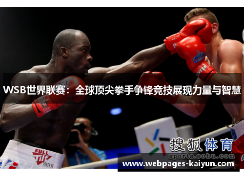 WSB世界联赛：全球顶尖拳手争锋竞技展现力量与智慧